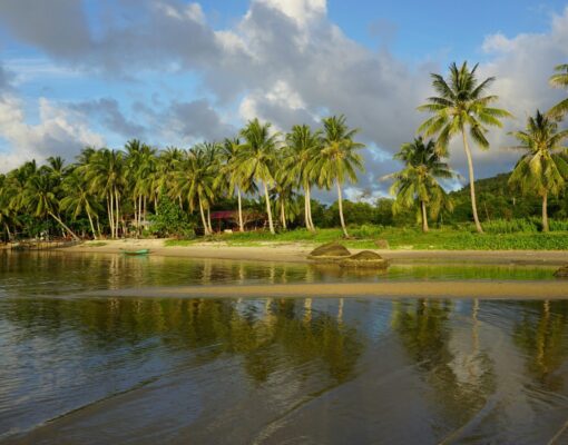 fiona-doan-nz9b1pZJ-S4-unsplash