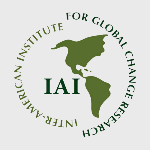 IAI in gray