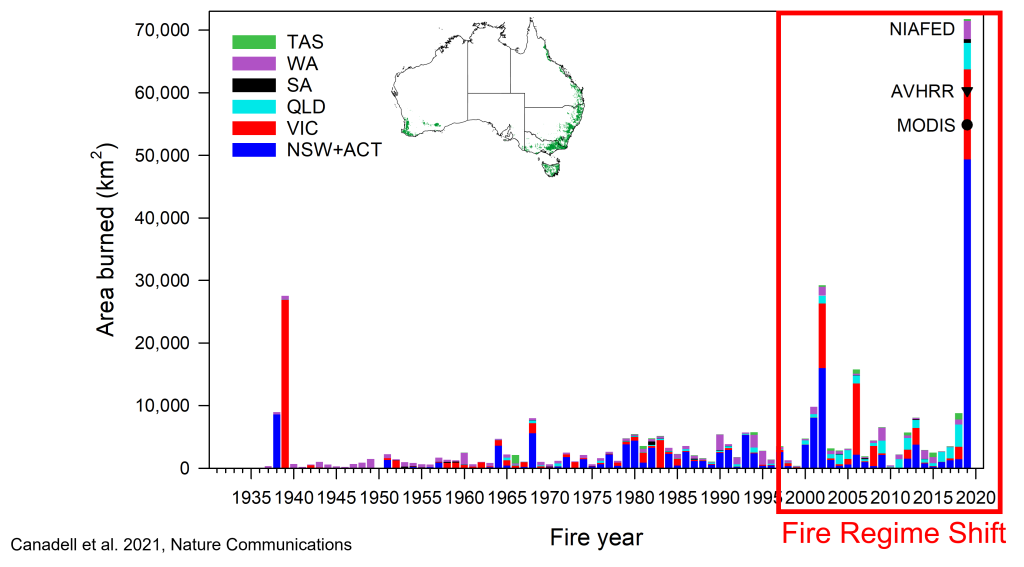Pep-Canadell-image-1024x567